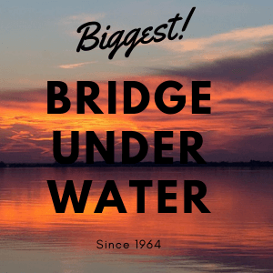 Biggest Bridge UnderWater - Real photos & History
