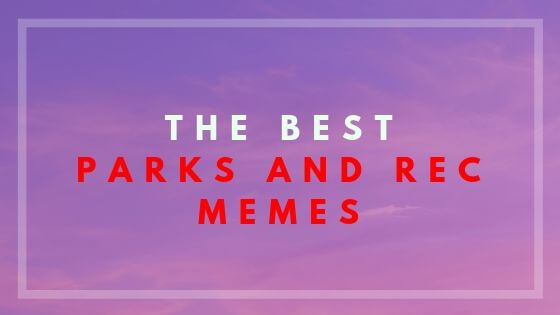 The best parks and rec memes will improve your mood. DO you want to laught? check this article