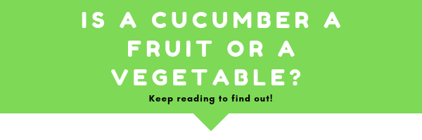 is a cucumber a fruit or a vegetable? If you want to find out what this delicious food is, you should keep reading this article and you will soon find out to which category you should put this food.