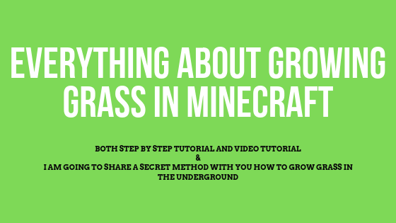 How to Make Grass Grow in Minecraft Easy Tutorial