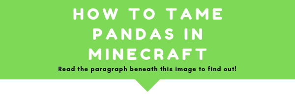 How to tame pandas? It is quite easy, there are few requirements to do it, but it is not rocket science, this is minecraft. Follow my isntructions and you will be able to ride pandas easily