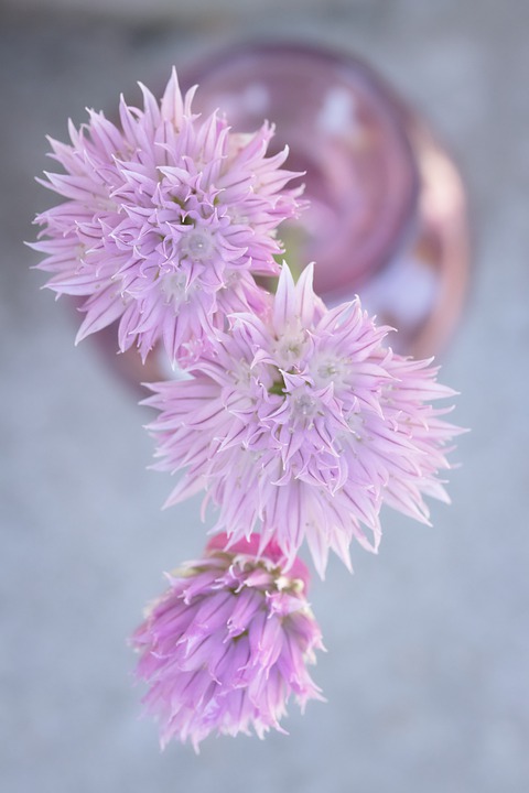 The Shocking Truth Behind John's Top-Secret Phone Number