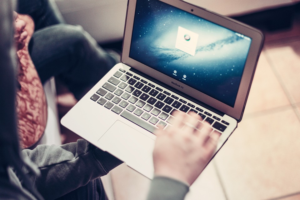 How to get fruit notifier for free in blox fruits