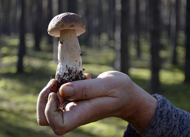 Revealing the Hidden Truth: Uncovering the Secrets surrounding Michael and Marilyn Gladstein's‍ Daughter