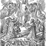 Toonkor's Resurgence: Step into the Future with Their New Domain! Toonkor’s Resurgence: Step into the Future with Their New Domain!