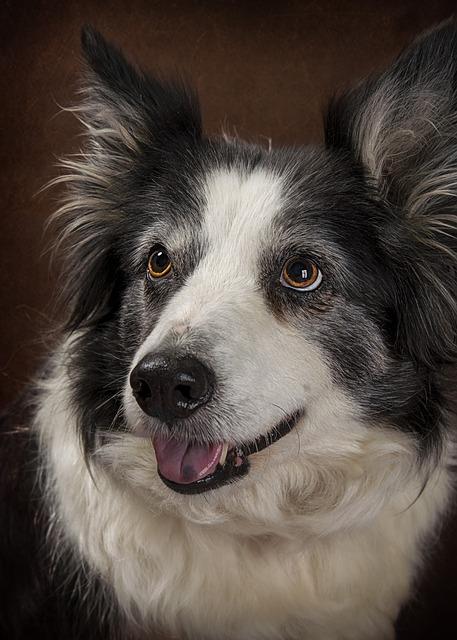 Analyzing the Factors Behind the Mysterious Life of Doug Batchelor's Son