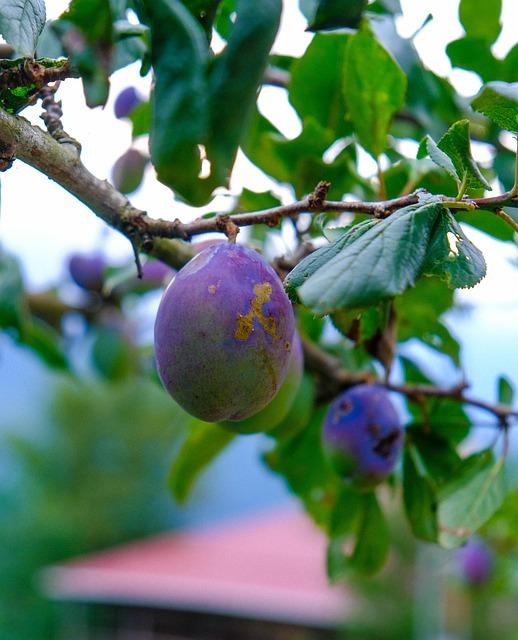 Remarkably Bright Creatures Erik: The Unknown Fate