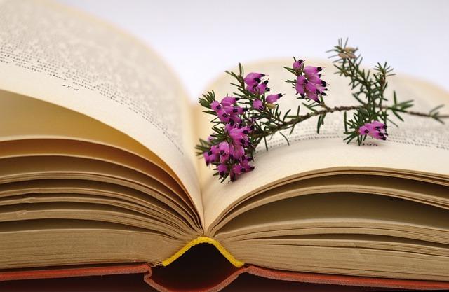 The Unfolding of Erik's Trauma in the Plot