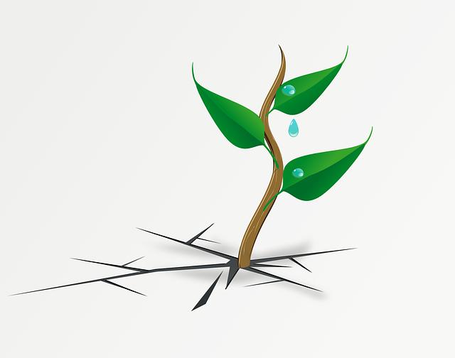 Darkest Dungeon Board Game Rules: How to Survive and Win Like a Pro