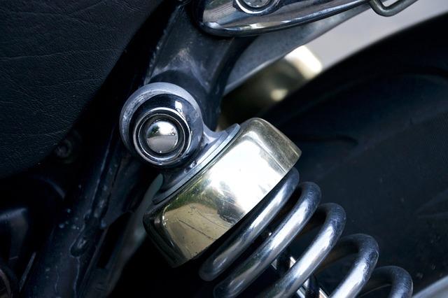 What Happened to Kurvana: Shocking Details Revealed