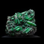 What Happened to Stewart Mineral Springs: Insider Insight