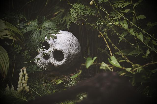 Tips for Surviving ⁣Environmental Disasters and Epidemics