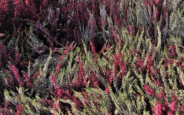 The‍ Impact⁢ of ⁢Eric Weiskopf's Exit on the Company