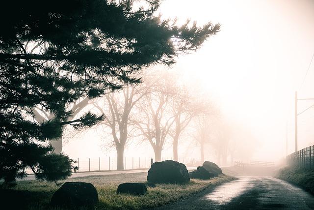 The Mysterious Disappearance of⁣ Roz G: Speculations and Theories