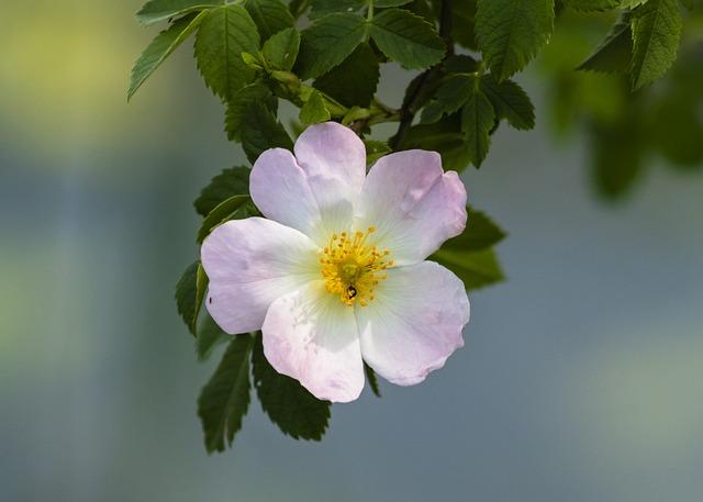 What Happened to Brian on Cat Country: Insider Update