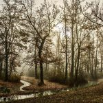 What Happened to Brook Dede: Insider Insights Revealed