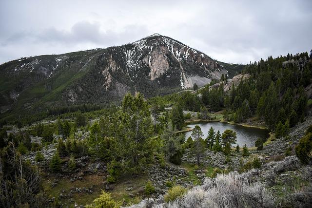 Background of the⁢ Yellowstone ⁢Helicopter