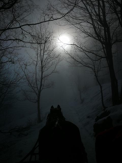 Trey‍ Gowdy's Nose: A Closer⁢ Look at the Change